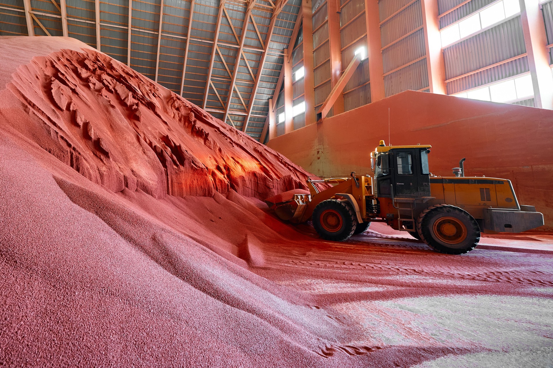 Excavator collects red potassium agricultural fertilizers